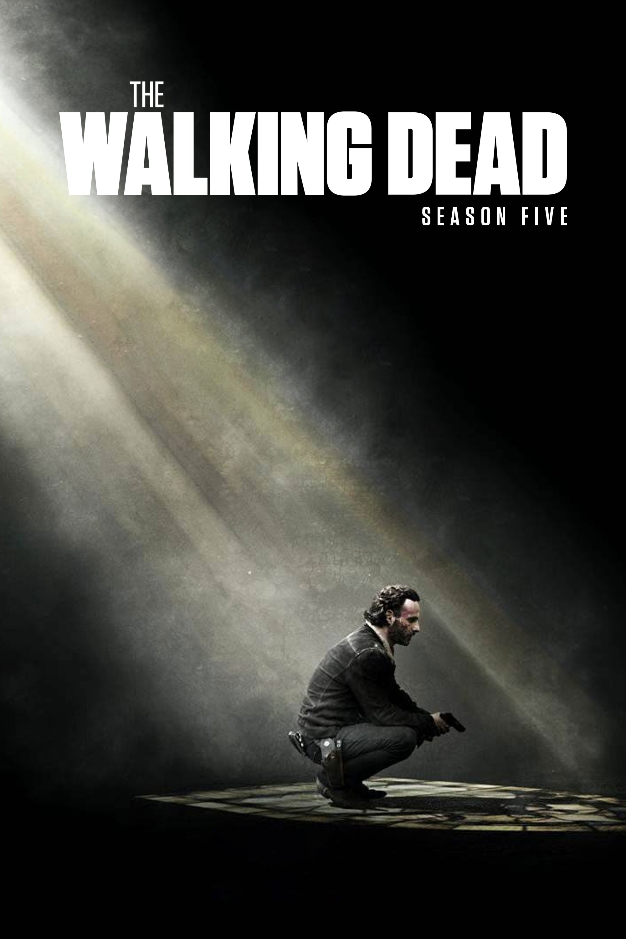 The Walking Dead - Season 5 [507422] (A1767014432) [[Shows]] --Plex--